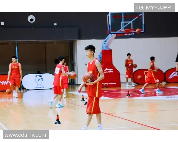 篮球明星熊猫的传奇之路与梦想追逐的精彩瞬间