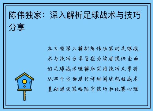 陈伟独家：深入解析足球战术与技巧分享