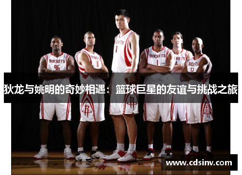 狄龙与姚明的奇妙相遇：篮球巨星的友谊与挑战之旅